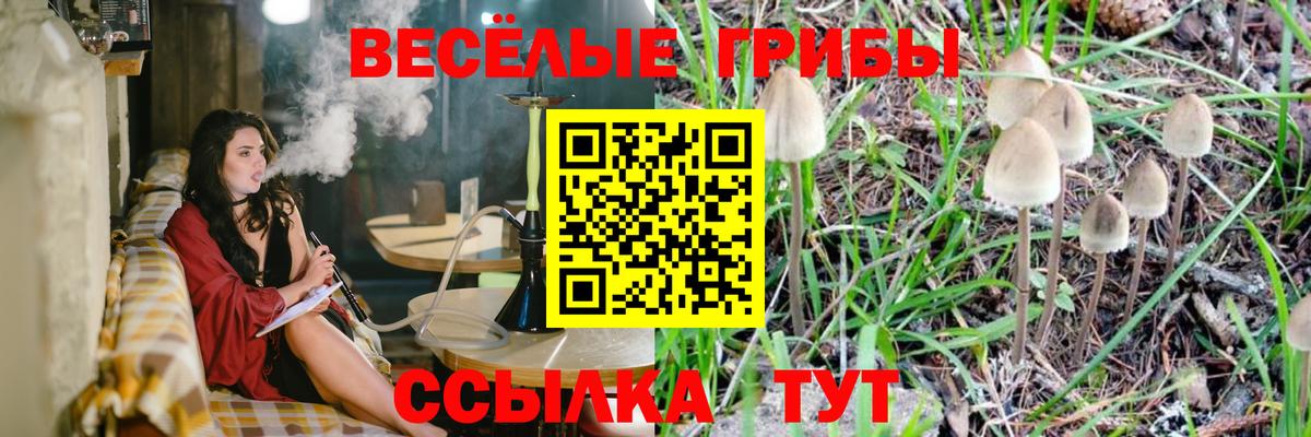 Галлюциногенные грибы ЛСД  Псилоцибиновые грибы Magic Shrooms  Вход с VPN  Кстово 