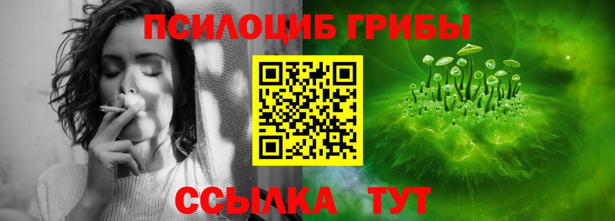 Галлюциногенные грибы Magic Shrooms Кстово