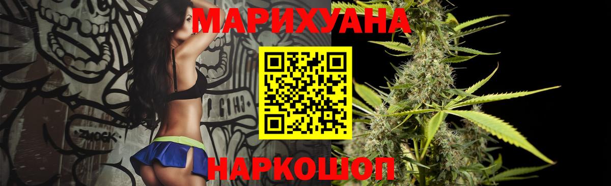 Бошки Шишки планчик Кстово
